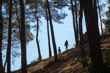 Bir kadın, oğluyla ormanda yürür, annesiyle yürüyüşe çıkar, sırt çantalı bir kadın ve gökyüzüne karşı bir çocuk, çocuklarla seyahat eder, dağ patikalarında, Anneler Günü 'nde..