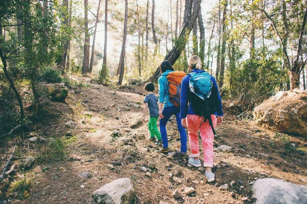 Két Egy Gyerek Sétál Erdőben Gyerekekkel Túrázni Lmbt Család Egy — Stock Fotó