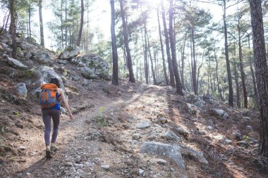 Sırt çantalı bir kız dağ yolunda gidiyor. Bir kadın resimli yerlerde tek başına seyahat eder. Bir kadın ormanda tek başına yürüyor..