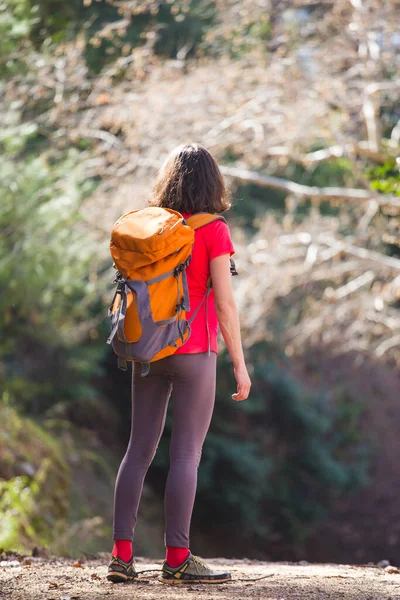 Dziewczyna Plecakiem Idzie Szlakiem Górskim Kobieta Podróżuje Samotnie Malowniczych Miejscach — Zdjęcie stockowe