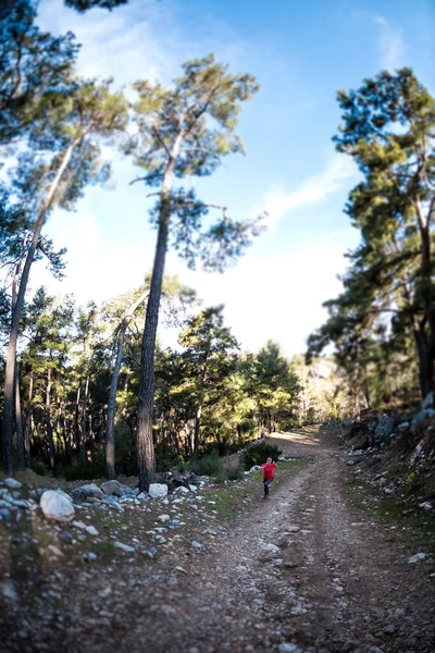 一个女人沿着山路跑 跑步者正在森林里训练 女孩在公园里慢跑 鱼眼镜头 移位效应 — 图库照片