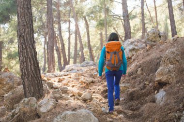 Bir kız ormanda yürüyor. Dağlarda yürüyüş. Parkta bir kadın yürüyor. Aktif yaşam tarzı. Bir kadın dağlarda kamp yapmaya gider..