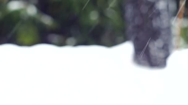 Снігова шина котиться до камери — стокове відео
