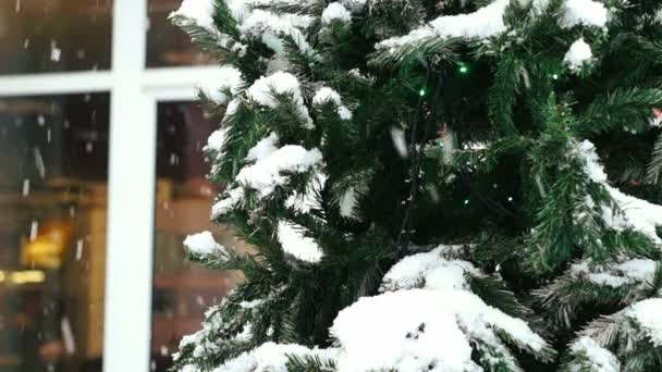 Kerstboom onder sneeuwval — Stockvideo