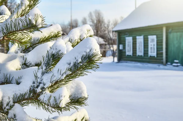 Paisaje invernal con pino y casa rural — Foto de Stock