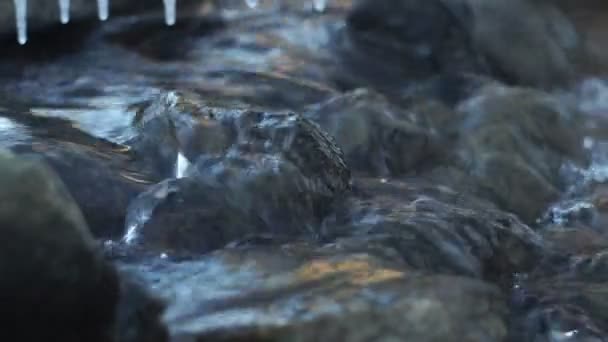 Water flows in winter creek — Stock Video