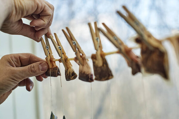 Hanging used tea bags on the clothesline with clothes pegs