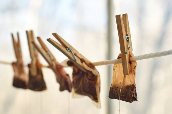 Used tea bags hanging on the clothesline