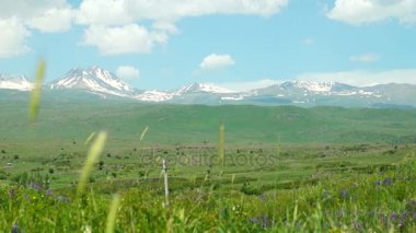 Yaz peyzaj dağlar karla kaplı