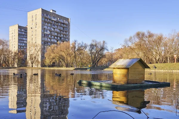 Casa de pato en el estanque en la ciudad —  Fotos de Stock