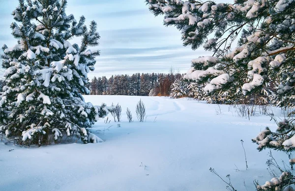 Paisaje de invierno rural ruso — Foto de Stock