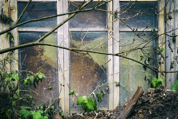 Fenêtre sale de maison abandonnée — Photo