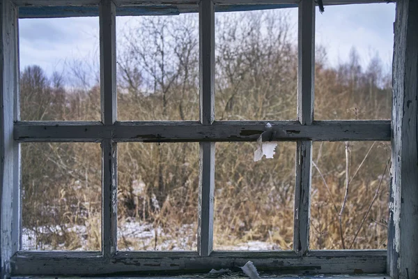 Fenêtre sans verre de maison abandonnée — Photo