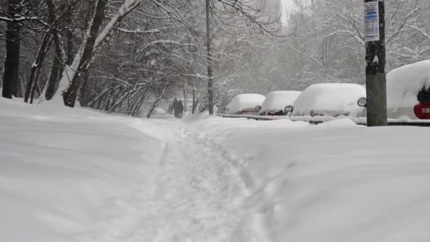 Zimní krajina s velkým sněžení v Moskvě na 4 února 2018 — Stock video