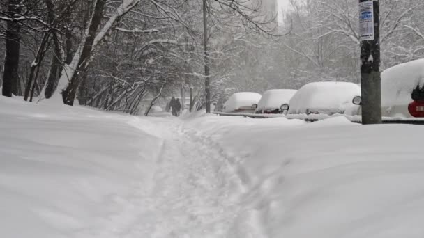 Winterlandschap met een grote sneeuwval in Moskou aan, 4 februari 2018 — Stockvideo