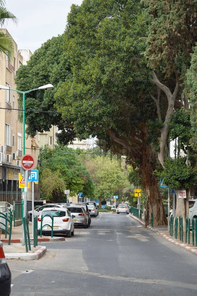 Haifa, Israel - 03 de diciembre de 2019. Vista de la calle Yosef con árboles grandes y coches de estacionamiento en Haifa — Foto de Stock