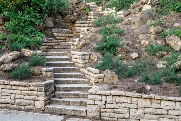 Каменная лестница с зелеными кустами — стоковое фото