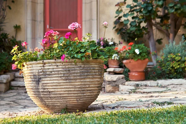 Grande vaso de flor de barro decorativo na frente da casa com flores vermelhas — Fotografia de Stock