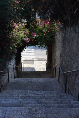 Hayfa 'daki güzel begonvil çiçekleriyle taş merdivenlerden iniyorum.