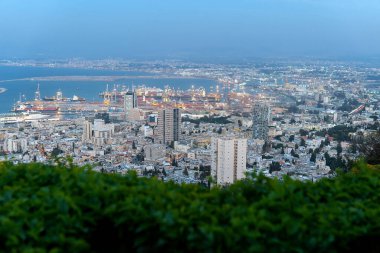 İsrail 'in Bahai Bahçeleri' nden Haifa kasabasının akşam manzarası. Önünde bulanık yeşil çalılar var.