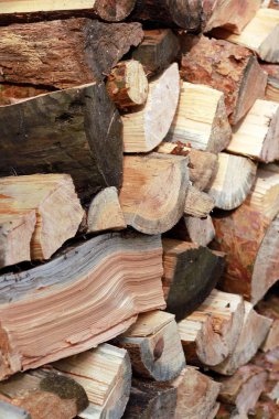 Kışa hazır odun yığını