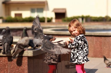 Sevimli küçük kız güvercinler ekmek kırıntıları ile besleme 