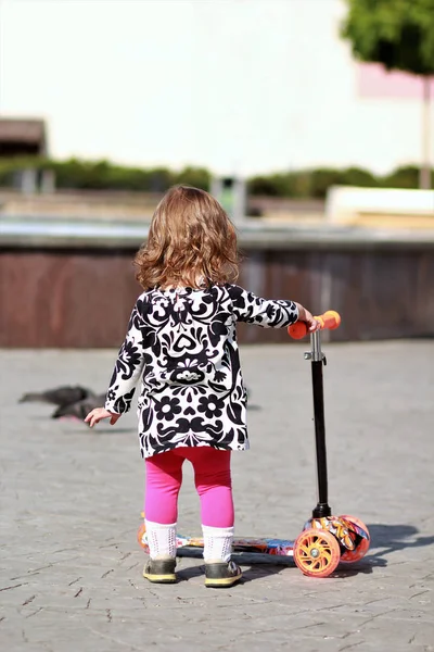 Linda niña montando un scooter en el parque de verano —  Fotos de Stock