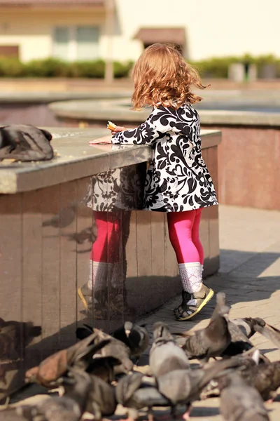 Schattig klein meisje duiven voederen met broodkruim — Stockfoto