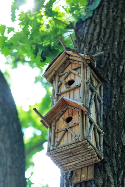 Creativa casa di uccelli in legno fatta a mano appesa all'albero in un parco — Foto Stock