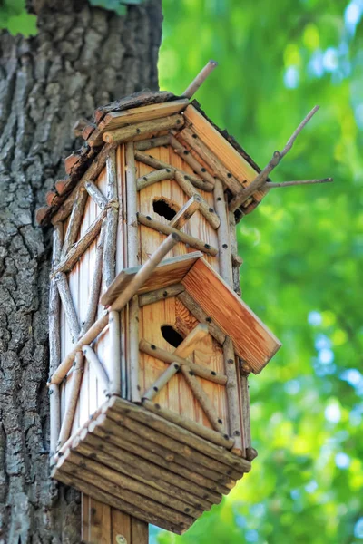 Casa de pássaro de madeira feita à mão criativa pendurada na árvore em um parque — Fotografia de Stock