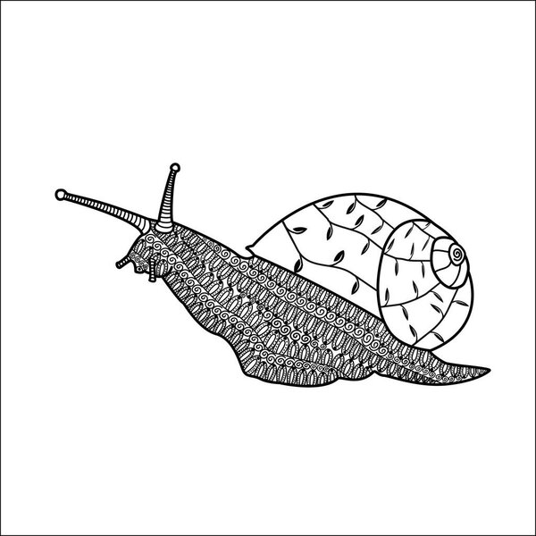 Hand drawn snail with ornaments, black and white