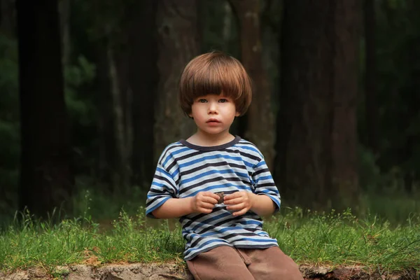 Καυκάσιος αγόρι στο ριγέ μπλούζα κάθεται στο ξύλο και να παίζει με έναν κώνο. Κοιτάζοντας την κάμερα — Φωτογραφία Αρχείου
