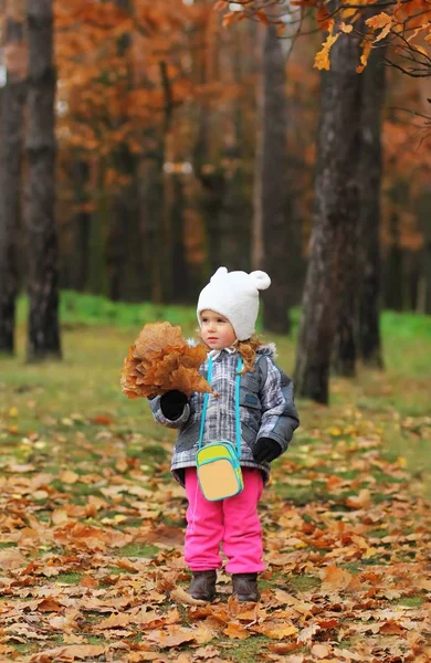 Meisje van de baby verzamelen eik verlaat in het bos — Stockfoto