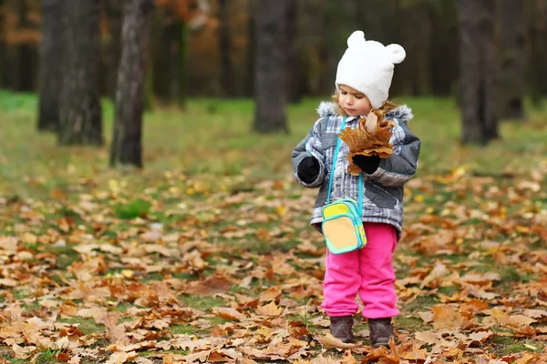 Meisje van de baby verzamelen eik verlaat in het bos — Stockfoto
