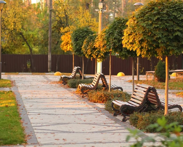 Rij van zonovergoten lege houten bankjes in het moderne park. Herfst, zonsondergang — Stockfoto