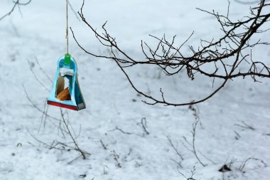 Kuş besleyici el asılı tatlılar çocuklar tarafından kağıt kutusunun sonra iyilik okulda ders sırasında soğuk karlı kış kuşlar kaydetmek için yapılan