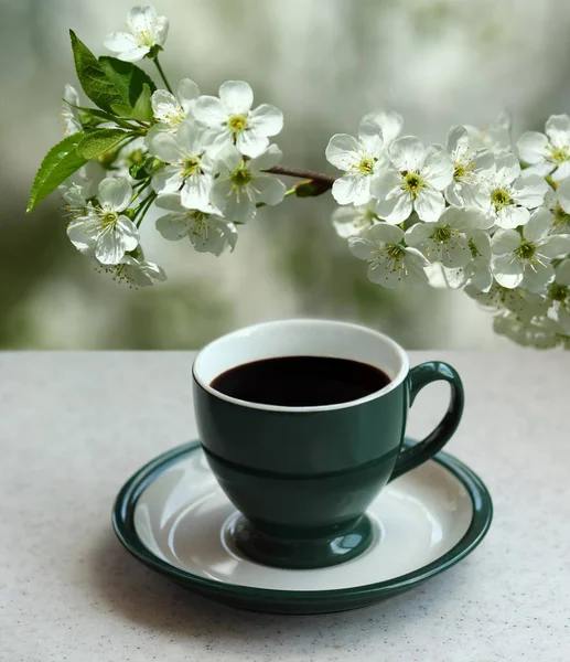 Zelený Hrnek Černé Espresso Kávy Kvetoucí Meruňkové Větev Zahradě — Stock fotografie
