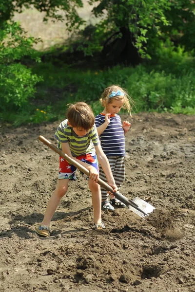 Kinder Helfen Beim Kartoffelanpflanzen Nutzgarten — Stockfoto