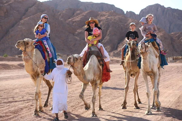 Sharm Sheikh Égypte Mars 2020 Touristes Chevauchant Des Chameaux Dans — Photo