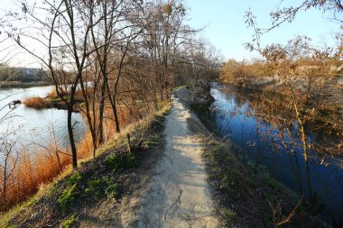 İki bahar gölünün geniş açılı manzarası ve aralarında bir kıyı şeridi.