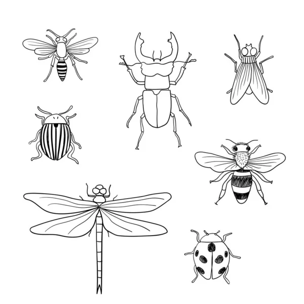 Farklı Çizimleri Karalama Yapan Böcekler Vektör Illüstrasyonu — Stok Vektör