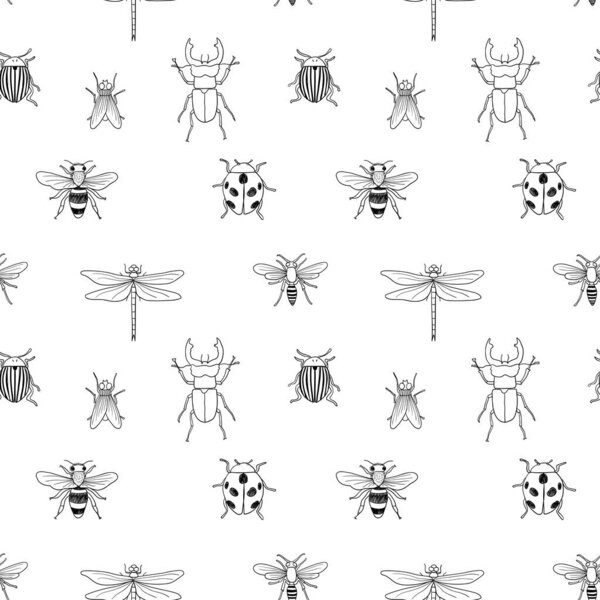 Vector seamless black and white pattern of different hand drawn doodle isolated insects
