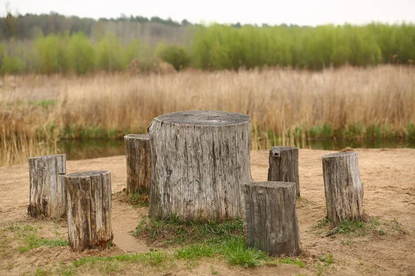 Table Extérieur Chaises Souches Jardin Idée Bricolage — Photo