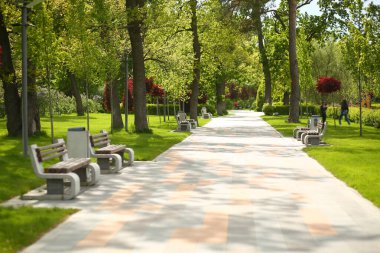 Yeşil baharın arka planı Modern park sokağı