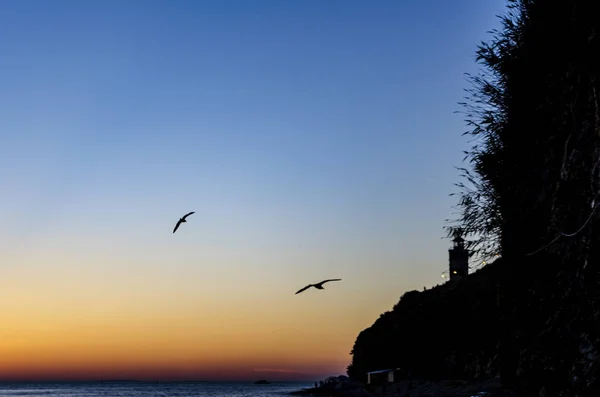 Céu por do sol sobre farol com gaivotas silhuetas — Fotografia de Stock