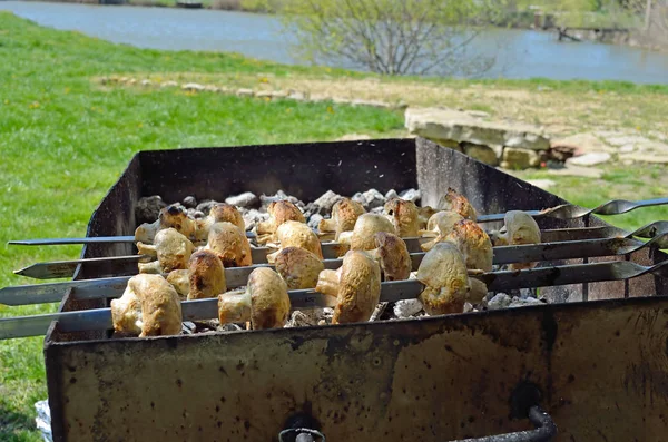 Marinierte Champignons auf einem Grill über Holzkohle zubereiten. Erholung im Freien in der Nähe des Flusses. — Stockfoto