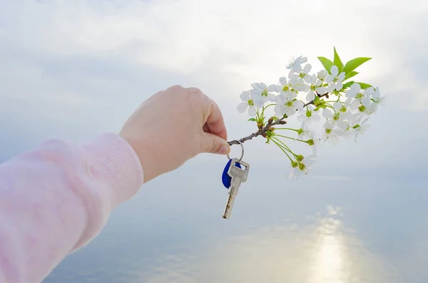 La chiave della nuova casa e il ramo dei fiori di ciliegio in mano . — Foto Stock