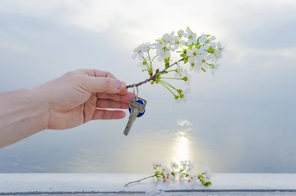 De sleutel tot het nieuwe huis en de tak van de kersenbloesem in hand. — Stockfoto
