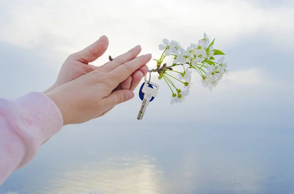 La chiave della nuova casa e il ramo dei fiori di ciliegio in mano . — Foto Stock