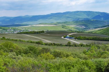 Dağlarda ormanın ortasında bağ.